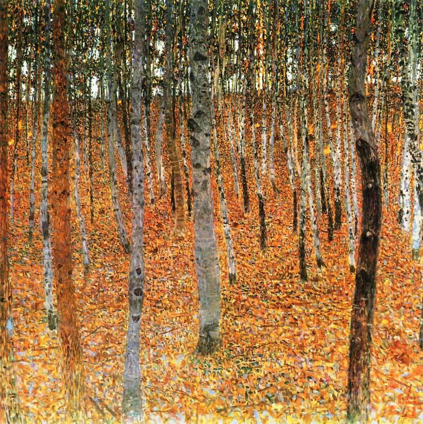 Birch Trees