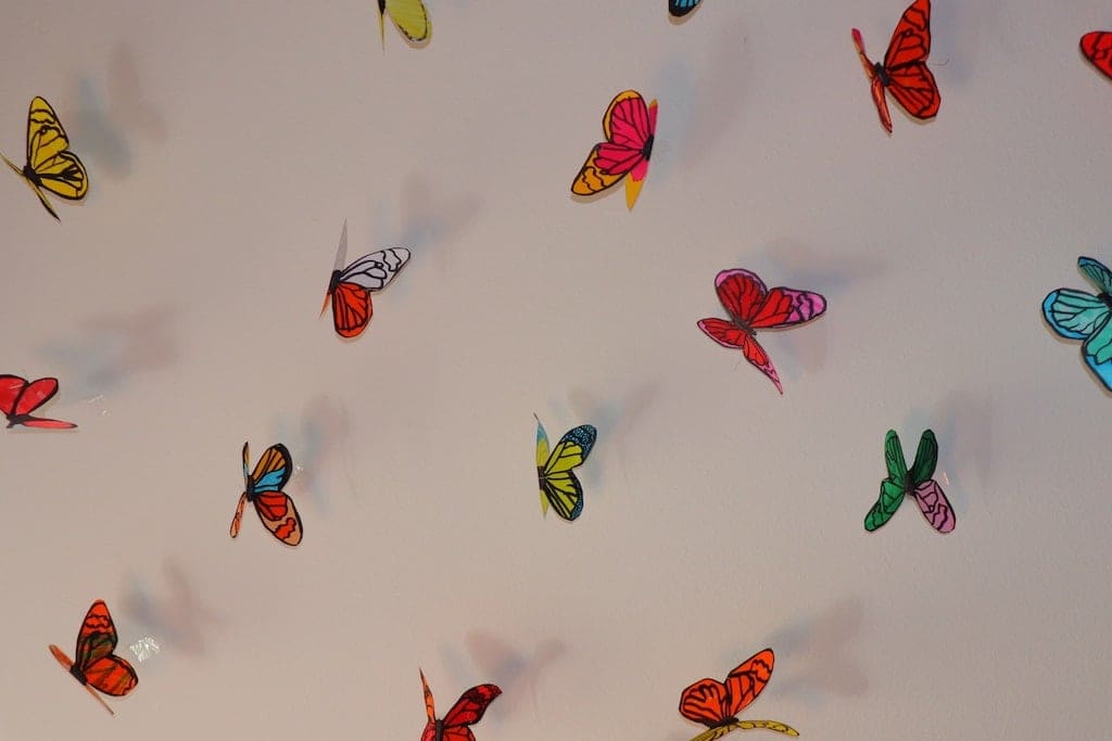 Butterflies, paper installation