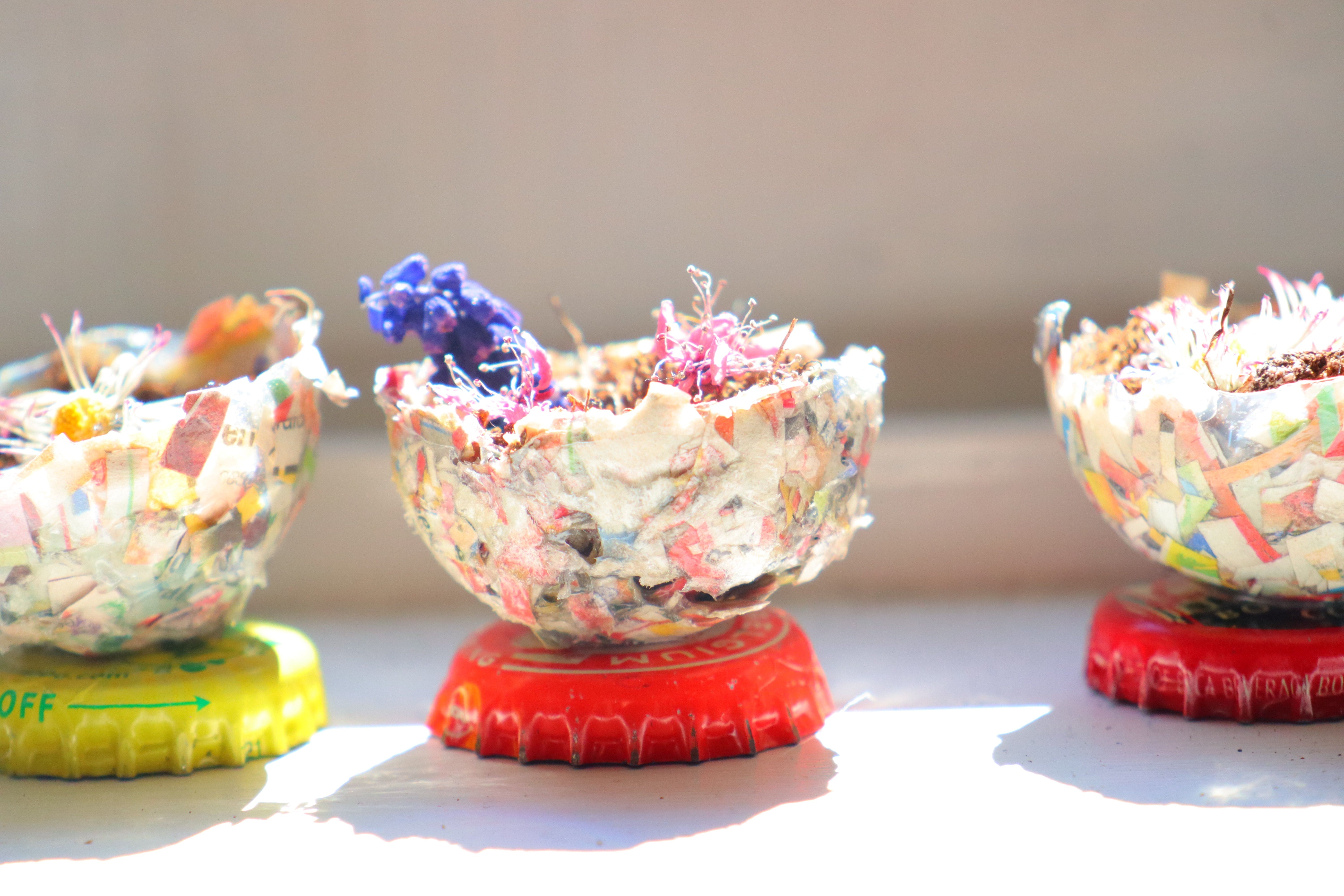 Molded Cups