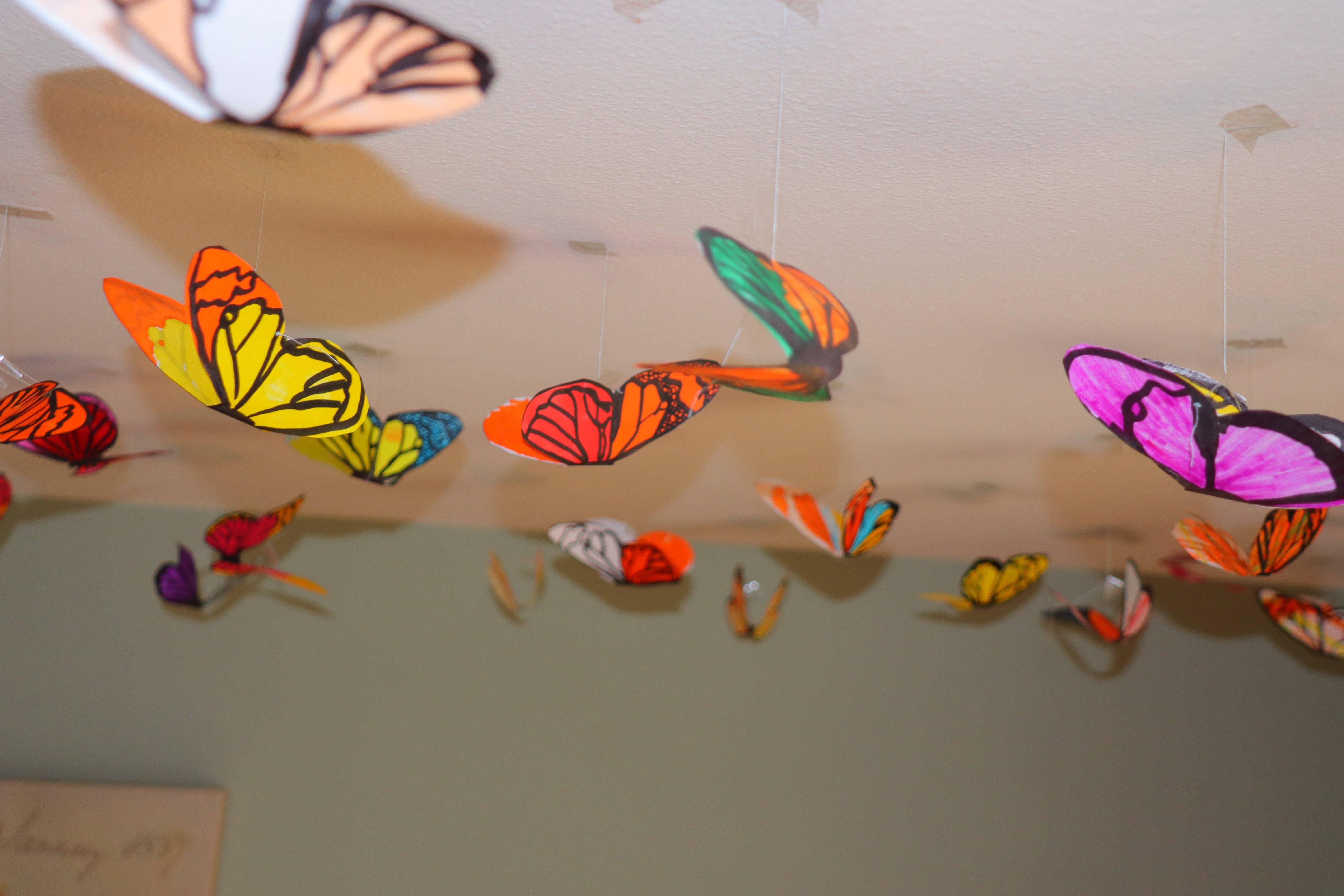 Butterflies, paper installation